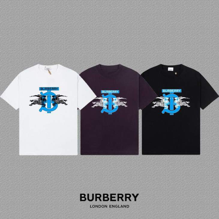 Picture of Burberry T Shirts Short _SKUBurberryS-2XLxetr22019743